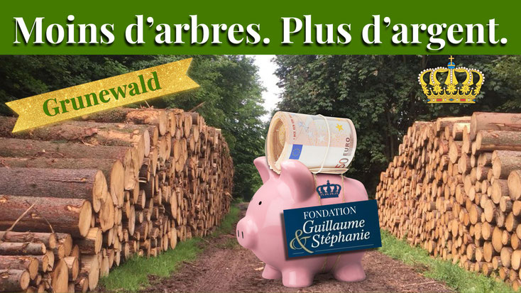 Un chemin forestier bordé de troncs abattus. Au centre, une tirelire rose avec des billets de 50 € et l’étiquette « Fondation Guillaume & Stéphanie ». Titre : « Moins d’arbres. Plus d’argent. »