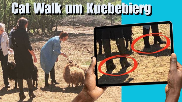 Fotomontage: Transportministesch Yuriko Backes um Stadbauerenhaff um Kuebebierg, mat roude Kreesser ronderëm hir High Heels ënnerstrach.
