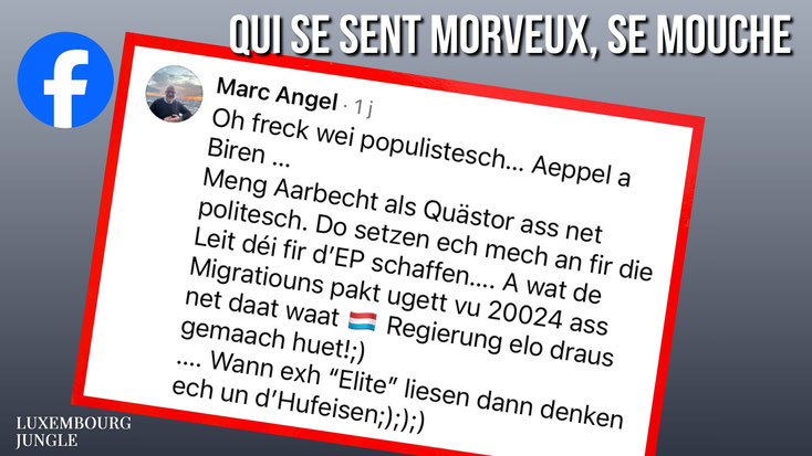 Capture d'écran du commentaire Facebook du député européen Marc Angel, encadrée en rouge sur fond gris. Titre : « Getraffen Hünden billen » (Faire aboyer des chiens). Logo Facebook en haut à gauche, logo Luxembourg Jungle en bas à gauche.