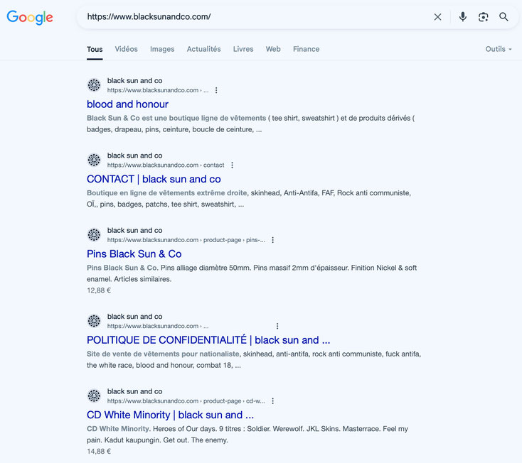 ▲ Capture d'écran Google: Le site Internet indiqué sur les autocollants apparaît, mais en cliquant sur le lien, on constate qu’il est bloqué.
