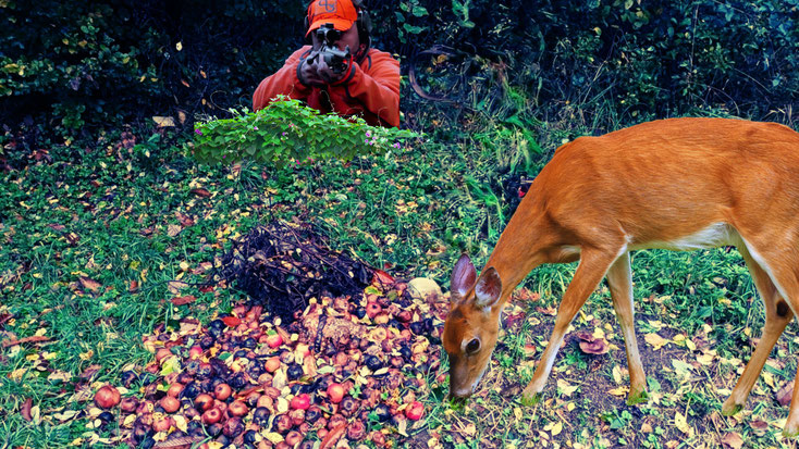 Le photomontage critique la politique de chasse et forestière actuelle.