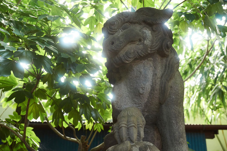 戸越八幡の狛犬。