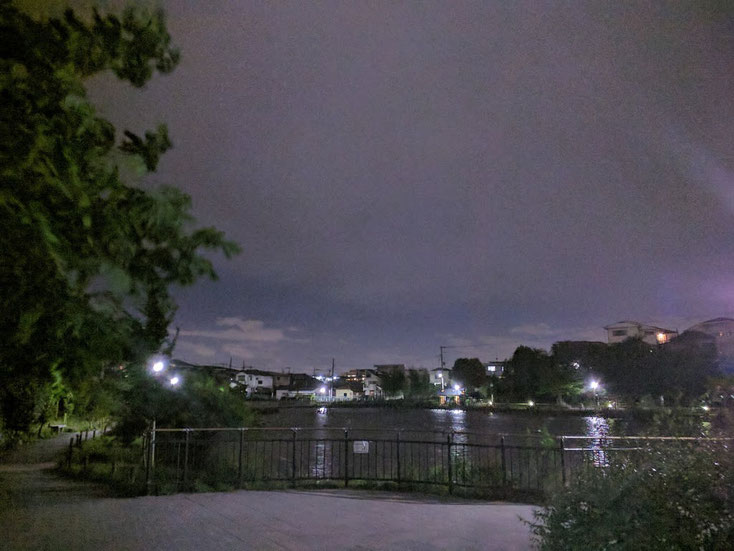 夜の小池公園 湖岸から池を写している