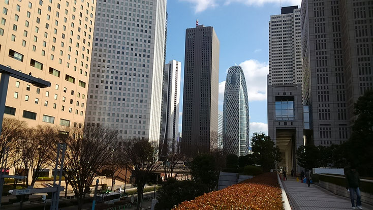 新しい東京文学散歩《東京 物語散歩》です。