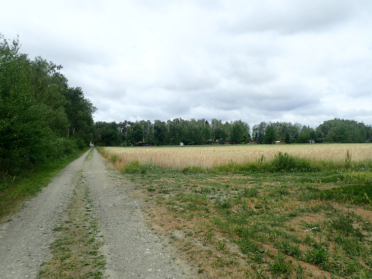 Gleich nach dem Campingsplatz beginnt der Feldweg zum Gassigehen. Entweder für das kurze Morgen-Gassi oder den langen Spaziergang perfekt!