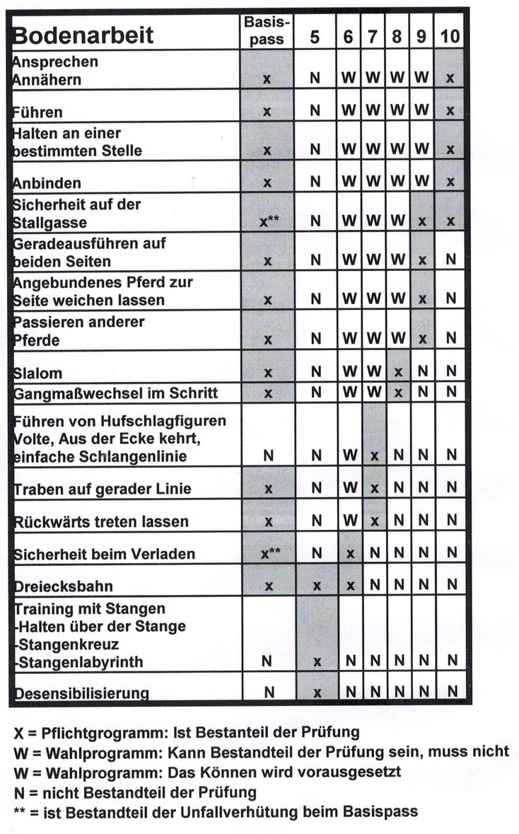 Bodenarbeit Reitabzeichen Fragen Basispass Reitpass Longierabzeichen Anforderungen