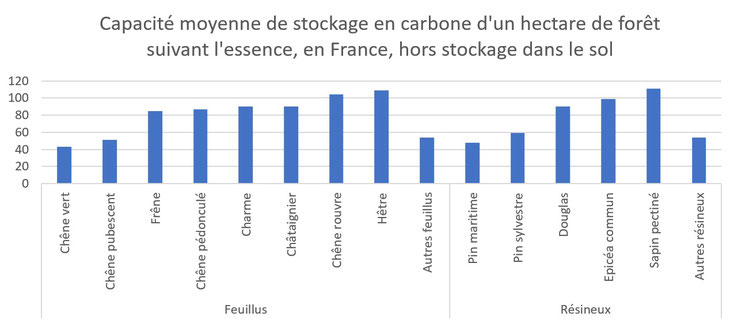 Combien de CO2 absorbe un arbre en fonction de l'essence plantée.