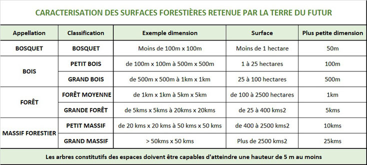 quelle difference entre bois et foret la terre du futur