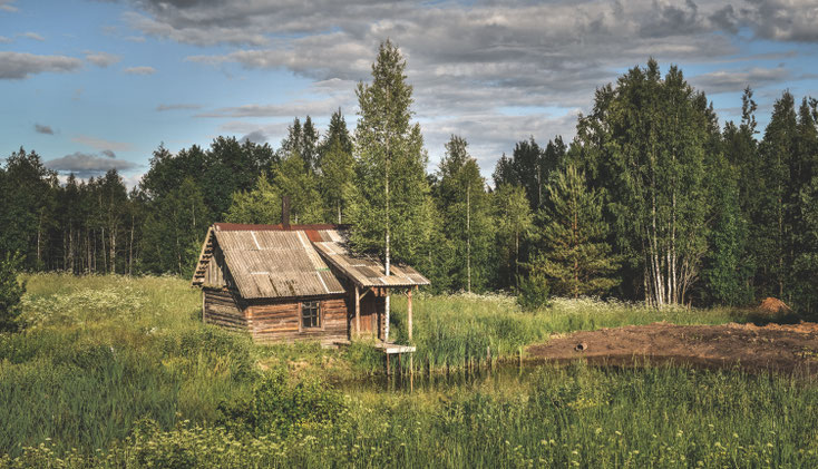 Holzhütte Cozy Cabin Tinyhouse, Glamaping Campinghütte