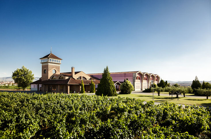 Bioweingut Bodegas Vina Ijalba Logrono La Rioja Spanien Weinbox Raum Fur Genuss Mattsee Salzburg