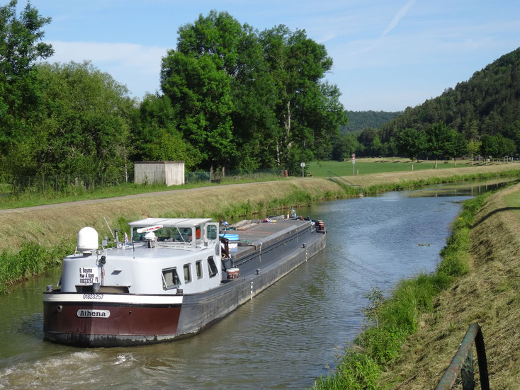 Brochets, sandres, silures, carpes et poissons blancs ne manquent pas dans ce bief.