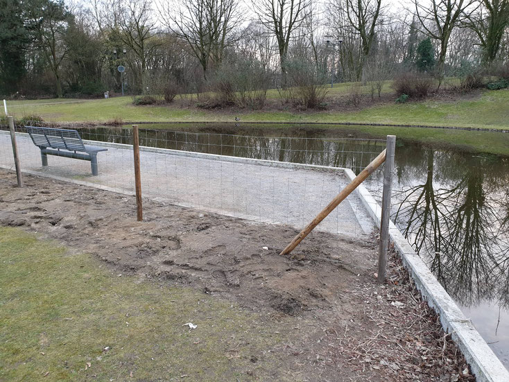 Der Zaun wird noch mit einer Hecke ergänzt  - Foto: Dieter Kunkel