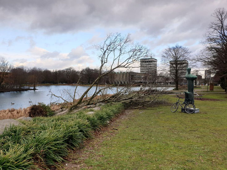 Sturmschaden, Baum umgefallen