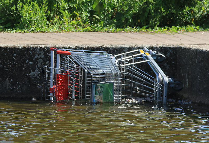 Einkaufswagen ein Ententeich