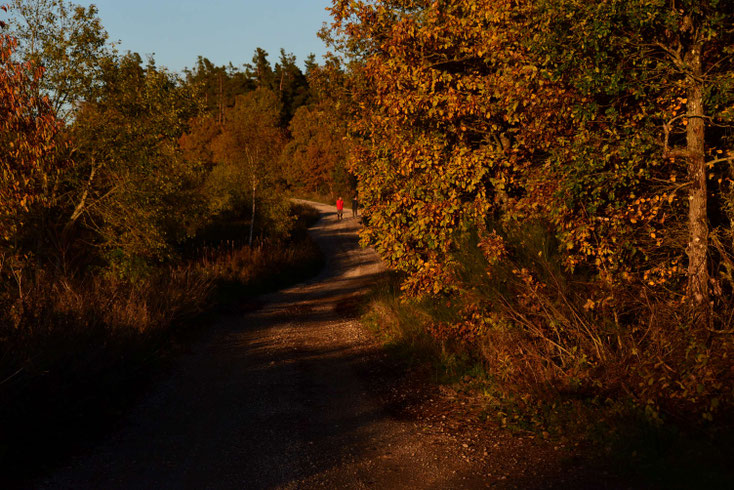 En passant par la Boulaine ce soir