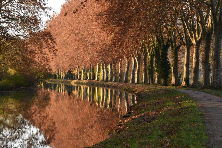 Le long du canal de Garonne