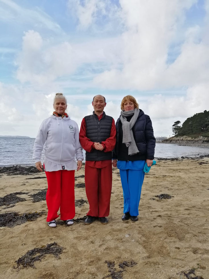 Academie Qi Gong Et Tai Chi Metropole De Grenoble