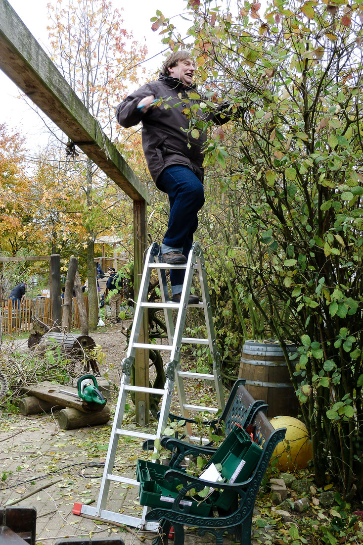 Herbstliches Aufräumen im Waldorfkindergarten Dinslaken