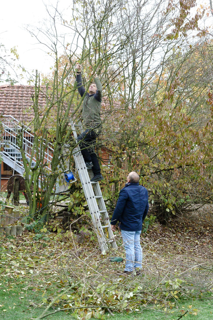 Herbstliches Aufräumen im Waldorfkindergarten Dinslaken