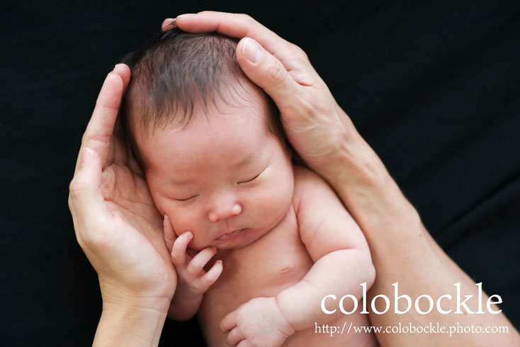 colobockle ニューボーンフォト newbornphoto