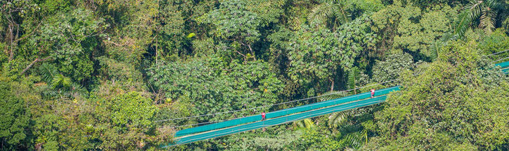 Caminata Puentes Colgantes del Arenal