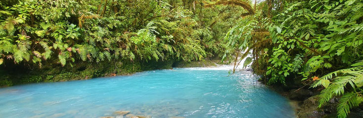 Round Trip Transportation from Arenal Hotels to Catarata del Toro and Blue Falls of Costa Rica