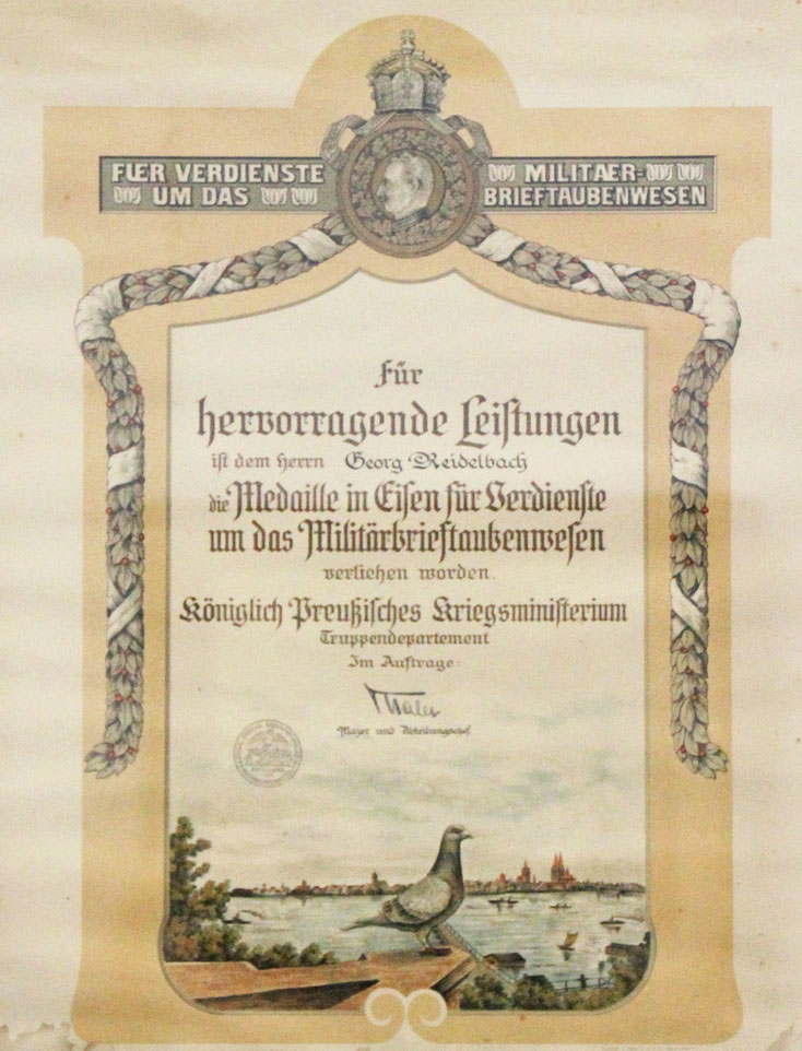 Urkunde zur Medaille in Eisen für Verdienste um das Militärbrieftaubenwesen, verliehen durch das Königlich Preußische Kriegsministerium