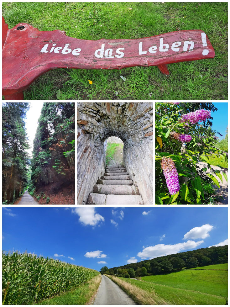 Wegeimpressionen vom Deilbachsteig/ nächste Etappe/hier im Blog