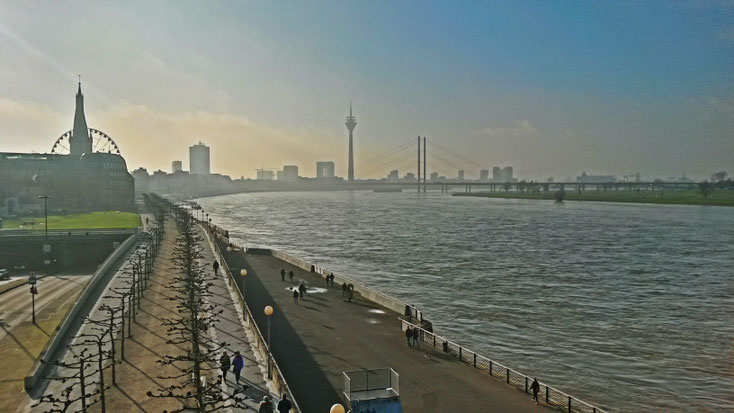 Düsseldorfer Rheinpromenade im Januar - zum Buchcover gewählt