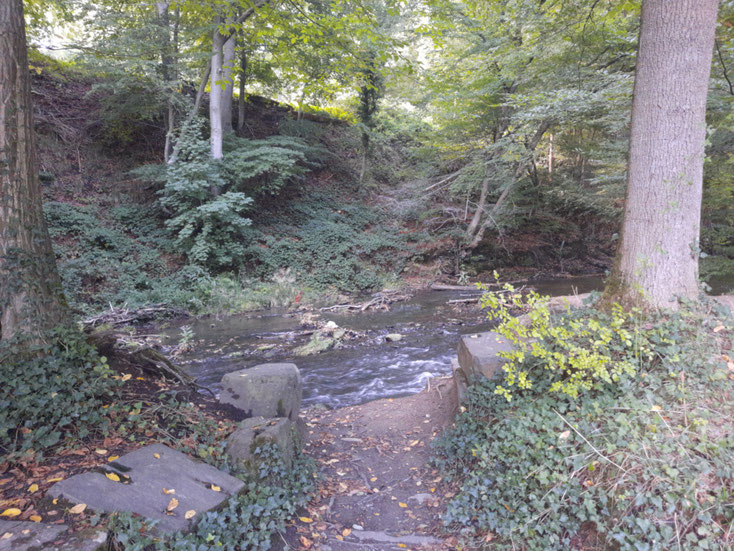 Einmündung des ursprünglichen Wasserkanals aus dem Mittelalter in die Dhünn