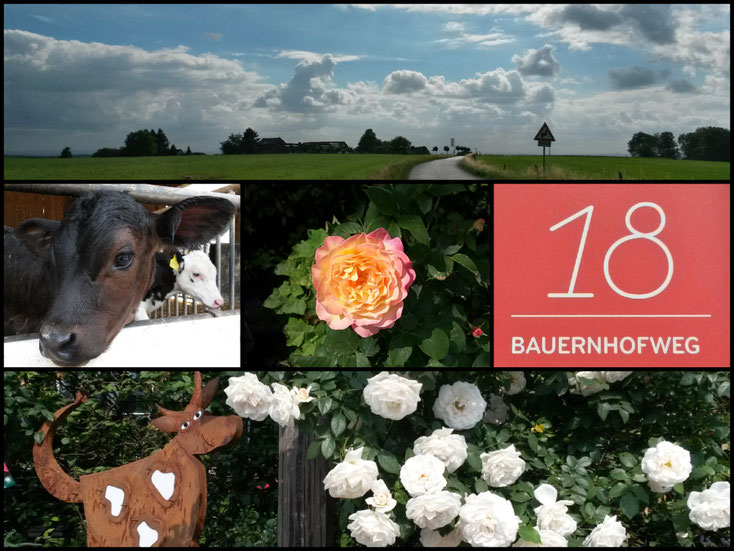 Collage Bauernhofweg - eine von 19 Touren im Reiseführer NRW NEU ENTDECKT. Besuche den online-shop für mehr Informationen