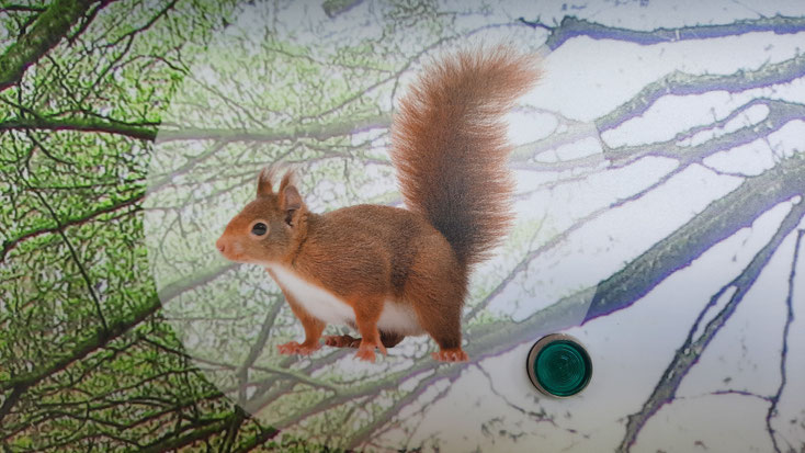 Bilder aus der Ausstellung der Basisstation in Wipperfürth