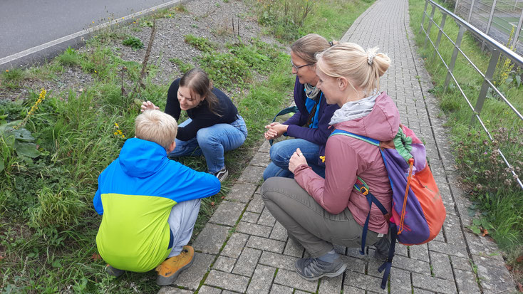 Forschergruppe am Wegesrand - Veröffentlichung erfolgt mit Zustimmung der Forscher*innen