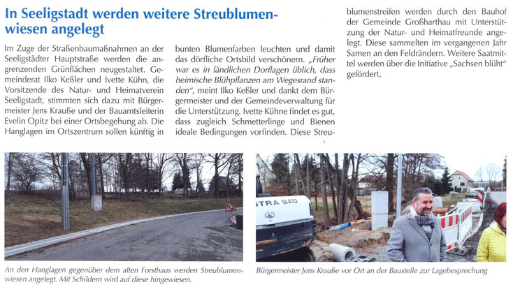 Bild: Seeligastadt Streublumen