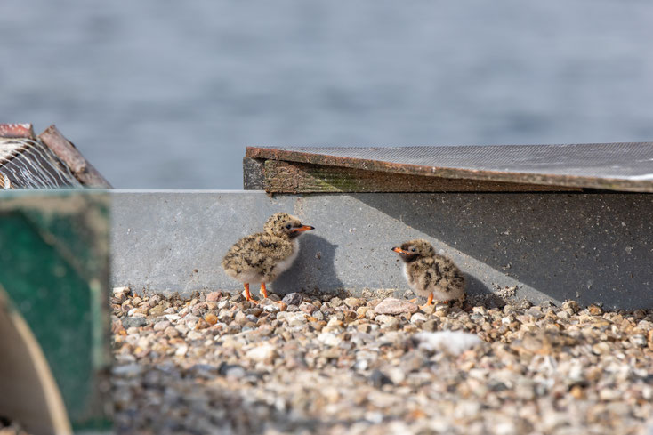 ©Marc Jeworrek