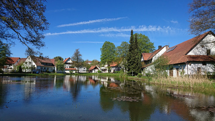 Hülle in Zainingen