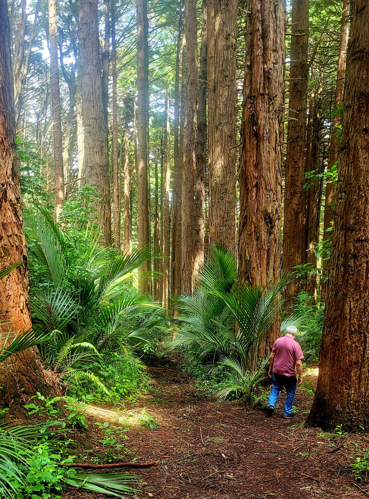 Auf dem Waimoku Trail