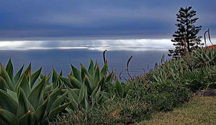 Urlaub Madeira März 2015