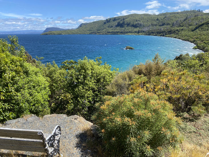 Blick auf den Taupo See