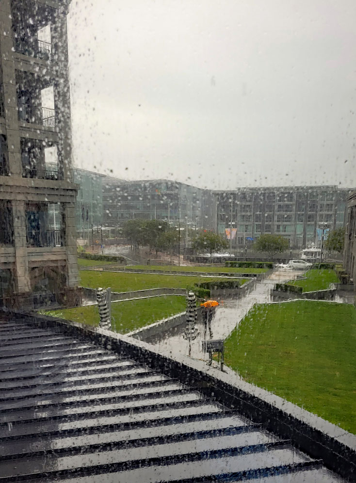 Regen in Auckland
