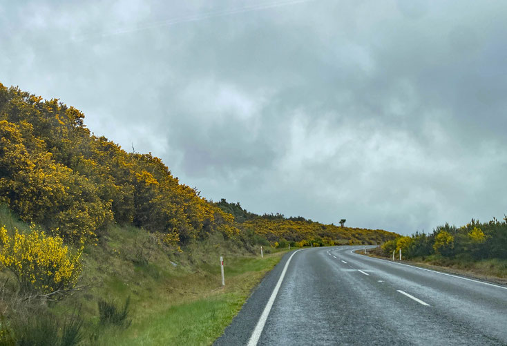 Unterwegs nach Taupo
