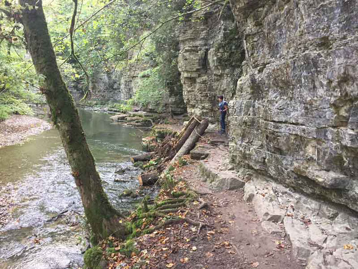 Schwarzwald, Wutach, Gauchach, Engeschlucht, Donaueschingen