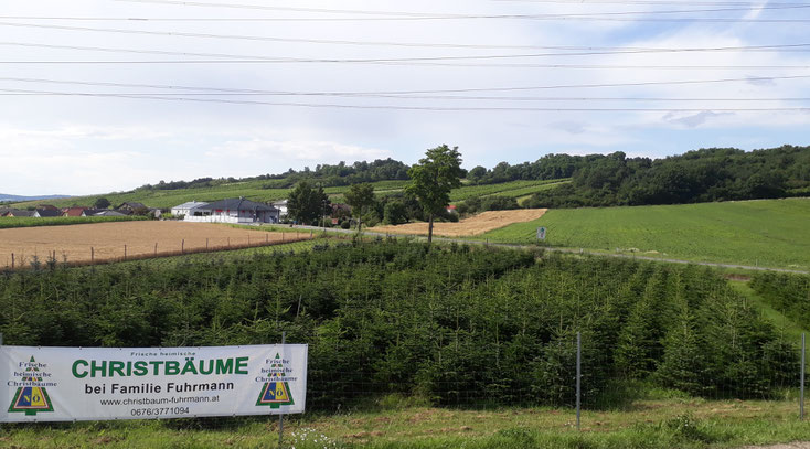 Anlage in Stetten im Juli 2020