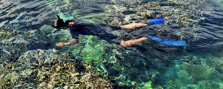 best price snorkeling and diving tours to Menjangan Island from Lovina, Seritit, Pemuteran, Sumberkima by Bali Surya Tours Lovina