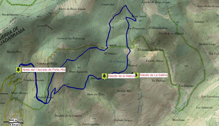 Mapa ruta Abeto del Cáucaso de Peña Alta, Rebollo de La Maleza, Rebollo de La Gallina. Lozoya del Valle. Árboles Singulares de la Comunidad de Madrid