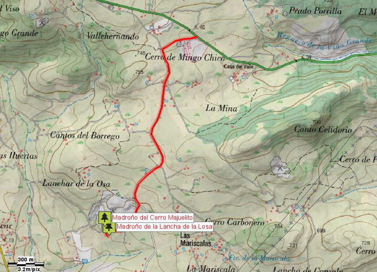 Mapa de acceso al Madroño del Cerro Majuelito. Cadalso de los Vidrios. Madrid