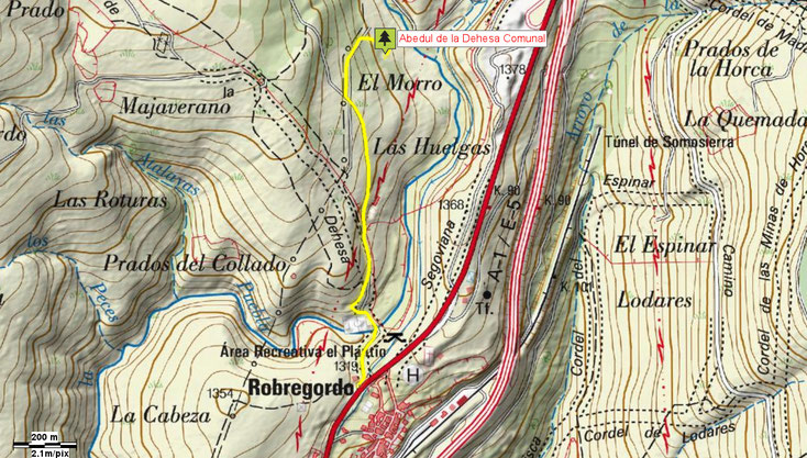 Mapa de acceso al Abedul de la Dehesa Comunal