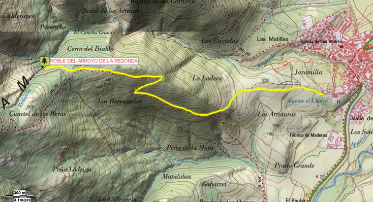 Mapa de acceso al Roble del Arroyo de la Redonda.