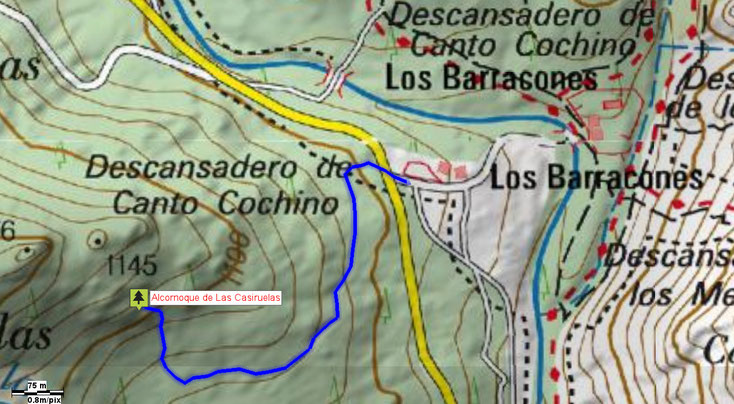 Mapa acceso Alcornoque de las Casiruelas: