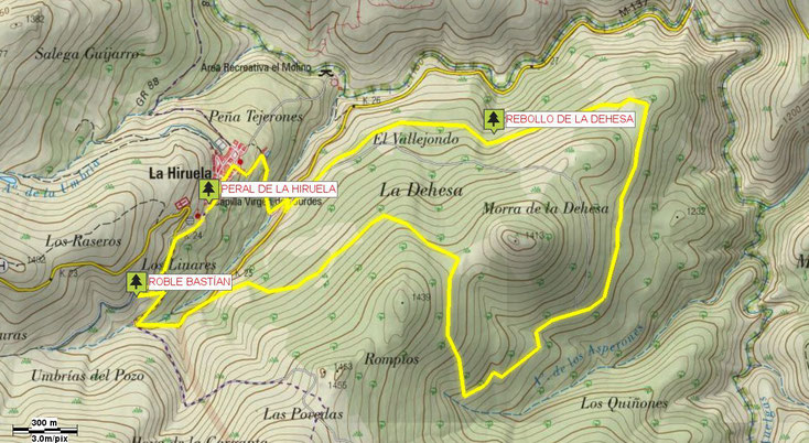 Mapa ruta Árboles Singulares de La Hiruela